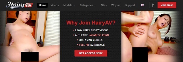 hairy av japanese porn site