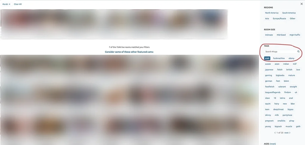 Chaturbate arab cams